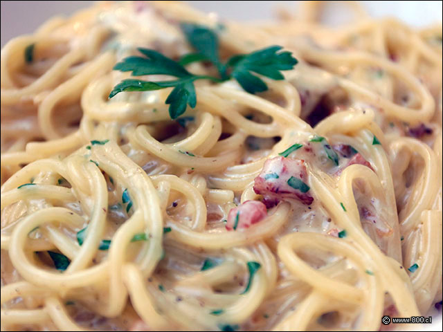 Tocino, cilantro, yema de huevo, queso y crema en los Spaghetti Carbonara - Vapiano (Providencia)